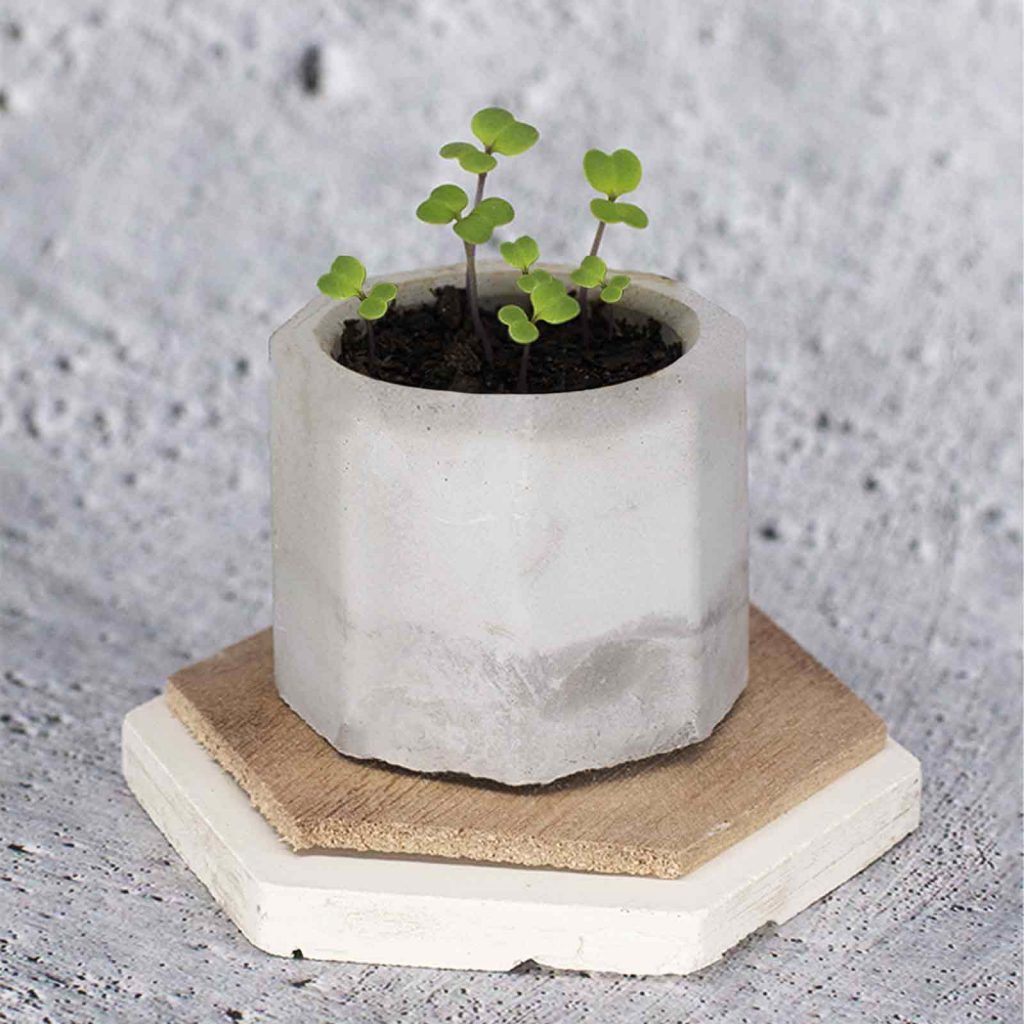 macetero ecológico packaging hexa 925