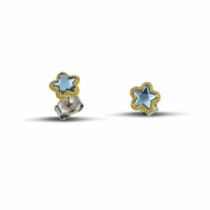 PENDIENTES EXCLUSIVE STAR